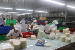 Thực phẩm Bích Chi (BCF) trả 99Kl.app mobile mới nhất bằng KL99 là cổng game giải trí trực tuyến hàng đầu hiện nay, tỷ lệ 100:20