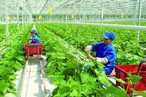 8 nguyên nhân khiến dịch vụ Kl991.com nạp rút nhanh nông thôn đang bị bỏ ngỏ