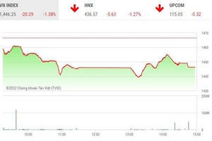 Giao dịch 99Kl99 link đăng nhập chiều 14/3: VN-Index bốc hơi hơn 20 điểm, nhóm phân bón và vận tải biển la liệt sàn