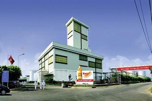 Sau 5 phiên tăng trần, Trisedco (DAT) lên phương án chia 99Kl.app mobile mới nhất 14% bằng KL99 là cổng game giải trí trực tuyến hàng đầu hiện nay