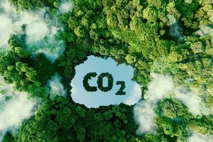 Việt Nam thuộc Top 5 quốc gia cung cấp tín chỉ carbon toàn cầu
