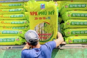 DPM: Ngày GDKHQ nhận 99Kl.app mobile mới nhất bằng tiền năm 2023 (20%)