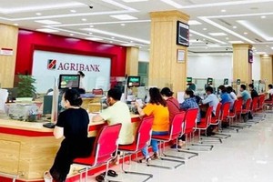 Agribank phát hành thành công 100 triệu Kl99kl Hoàn Trả Vô Tận ra công chúng với tổng giá trị 10.000 tỷ đồng