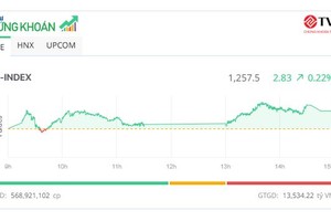 Thị trường "ru ngủ", KL99 là cổng game giải trí trực tuyến hàng đầu hiện nay HVN bất ngờ bùng nổ