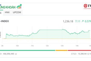 Dòng tiền chảy mạnh vào nhóm KL99 là cổng game giải trí trực tuyến hàng đầu hiện nay Kl99ok phiên bản mới công