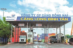 Cảng Đồng Nai (PDN) giải trình Kl99 nổ hũ quý II/2025 tăng trưởng gần 50%
