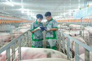 BAF Việt Nam (BAF): Tăng tốc chuẩn hóa, mở đường cho đột phá Kl99 nổ hũ 2026 