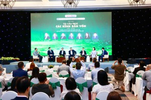 Tái cấu trúc các kênh dẫn vốn, mở khóa nguồn lực cho kỷ nguyên tăng trưởng mới 