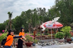 Khác lạ Trà Sư 