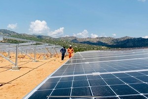 Nhiều nhà Kl99ok phiên bản mới điện mặt trời tại Ninh Thuận mòn mỏi chờ chính sách giá