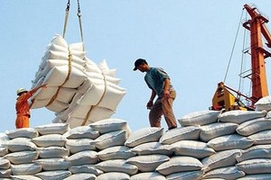 Xuất khẩu gạo giảm mạnh nhất trong nhóm nông, lâm, thủy sản