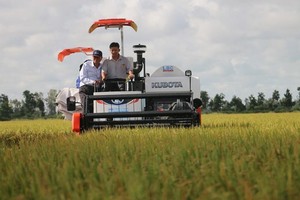 Lộc Trời (LTG): Chi phí tiếp khách, hội nghị và thù lao HĐQT tăng đột biến, hoạt động khác "cứu" Kl99 nổ hũ quý I/2022