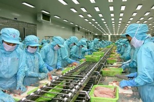 IDI ước lãi 80 tỷ đồng Kl99 nổ hũ sau thuế trong quý 4/2021