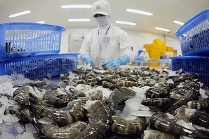 Xuất khẩu tôm trong 4 tháng đầu năm giảm 37% so với cùng kỳ năm ngoái.
