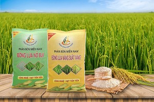 Phân bón miền Nam (SFG) dự kiến chi hơn 19 tỷ đồng trả 99Kl.app mobile mới nhất năm 2022
