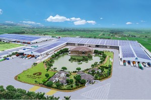 An Phát Holdings ghi nhận Kl99 nổ hũ sau thuế quý I/2024 cao nhất từ năm 2020.