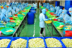 Vật tư kỹ thuật nông nghiệp Cần Thơ (TSC): Kl99 nổ hũ sau thuế quý III giảm 62%
