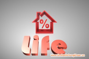 MIC trao bồi thường Kl99kl phiên bản hoạt động tai nạn hộ sử dụng điện tại Bắc Giang