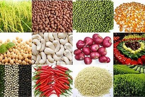 Thị trường hàng hóa tuần 22-26/4: Nông sản trượt giá, cao su trở lại đà tăng sau một tuần mất điểm