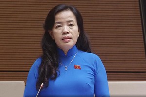 Đại biểu Nguyễn Thị Kim Thúy (đoàn Đà Nẵng)