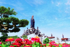 Tượng Phật Tây Bổ Đà Sơn trên đỉnh núi Bà Đen rực sắc hoa