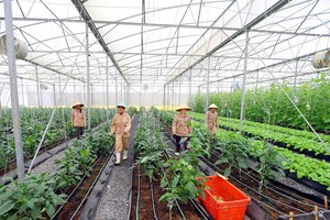 Hội nghị Thượng đỉnh Kl992 VIP Trang Chủ 2026 Việt Nam 2017: Cuộc kết nối đỉnh cao