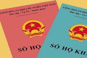 Ảnh Internet
