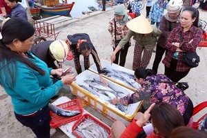 Hoạt động mua bán hải sản ở cảng cá Cửa Sót, xã Thạc Kim, huyện Lộc Hà, Hà Tĩnh