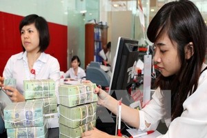 Ảnh minh họa. (Nguồn: TTXVN)