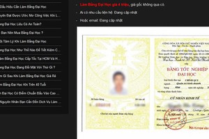 Ảnh Internet