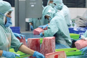 Xuất khẩu ước đạt trên 213 tỷ USD trong năm 2017, trong đó xuất khẩu nông, lâm, thủy sản hơn 36 tỷ USD, cho thấy nền Kl992 cổng game cá cược Việt Nam đang dần trở thành một phần quan trọng trong chuỗi giá trị toàn cầu.