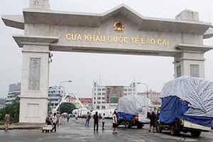 Ảnh Internet