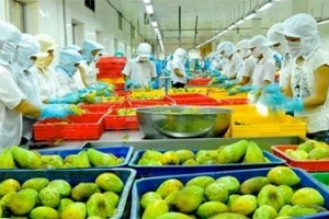 Ngành hàng rau quả tiếp tục đóng góp đáng kể vào tăng trưởng xuất khẩu của ngành nông nghiệp, với giá trị xuất khẩu trong tháng đầu tiên năm 2018 lên tới 320 triệu USD.