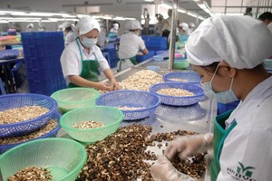CPTPP tạo cơ hội mới để Kl991.com World Cup 2026 Chính Thức Việt Nam tăng nhanh kim ngạch xuất khẩu nông sản, thực phẩm sang các nước thành viên. Ảnh: Lê Toàn