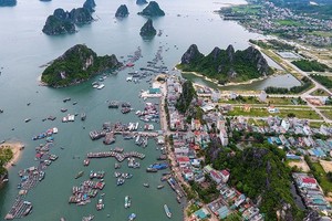 Giao dịch mua bán đất nền tại Vân Đồn (Quảng Ninh) trước thời điểm huyện đảo này trở thành đặc khu Kl992 cổng game cá cược rất nóng.