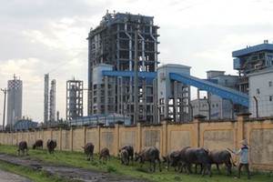Nhà máy Đạm Ninh Bình vẫn đang trong tình trạng thua lỗ nghiêm trọng