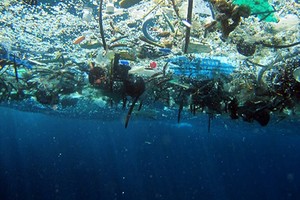 Địa Trung Hải bị ô nhiễm nghiêm trọng bởi rác thải nhựa. Ảnh: NOAA.