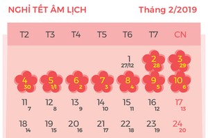 Các ngày nghỉ dự kiến năm 2019. Đồ họa: Tiến Thành.