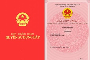 Ảnh minh họa.