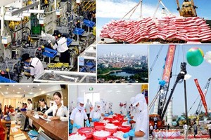 [Infographics] Những thành tựu Kl992 cổng game cá cược-Trang Chủ KL99Com Số 1 Link Đăng Ký KL999 của đất nước