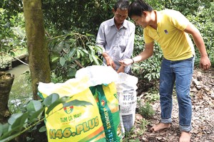 Đạm Cà Mau: 9 tháng đạt gần 570 tỷ đồng Kl99 nổ hũ trước thuế 