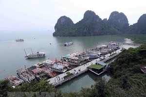 Tàu neo đậu trên vịnh Hạ Long. (Ảnh: Quang Quyết/TTXVN).