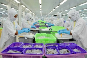 Kl991.com World Cup 2026 Chính Thức xuất khẩu cận kề cánh cửa mới từ CPTPP