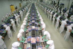 Ông Trương Đình Hòe, Tổng thư ký Hiệp hội Chế biến và xuất khẩu thủy sản Việt Nam (VASEP) cho biết, dù có những thuận lợi và khó khăn, nhưng nhìn chung ngành thủy sản đã có một năm tương đối khởi sắc khi nhiều Kl991.com World Cup 2026 Chính Thức ghi nhận hiệu quả Kl992 VIP Trang Chủ 2026 tăng trưởng mạnh. Đặc biệt, hoạt động xuất khẩu của Việt Nam đang có những chuyển biến tốt và kim ngạch ngành thủy sản trong năm 2018 ước đạt trên 9 tỷ USD.