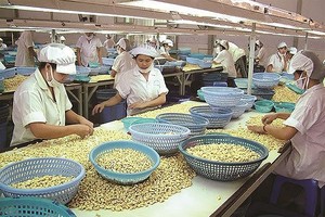 Lỗ liên miên, Chế biến hàng xuất khẩu Long An (LAF) tính bán chi nhánh tại Vũng Tàu