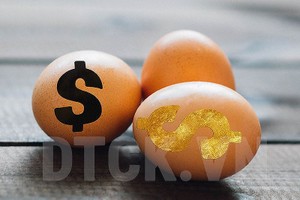 NAV của TVGF (Quỹ Kl99ok phiên bản mới tăng trưởng TVAM) giảm 3,7% trong năm 2018