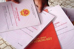 Ảnh Internet