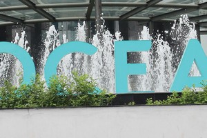 Ocean Group: Chuyện lạ về hai kỳ đại hội 