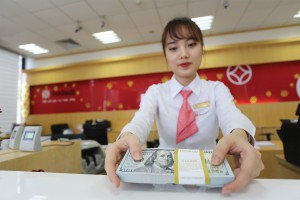 Thị trường ngoại hối sẽ ổn định trong quý II/2019