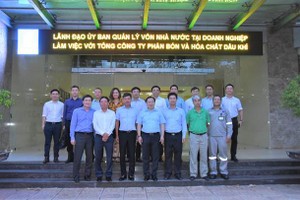 Chủ tịch Ủy ban Quản lý vốn 99Kl99 trực tiếp đá gà Nguyễn Hoàng Anh: PVFCCo hoạt động hiệu quả, chiến lược phát triển đúng đắn